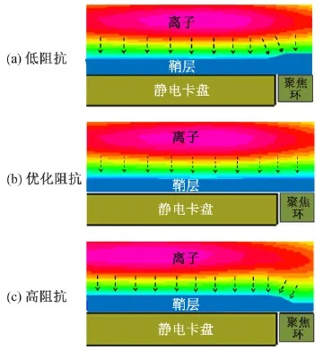 silicon-wafer-cassette-20240521-5.jpg